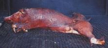 Roasted Pig
